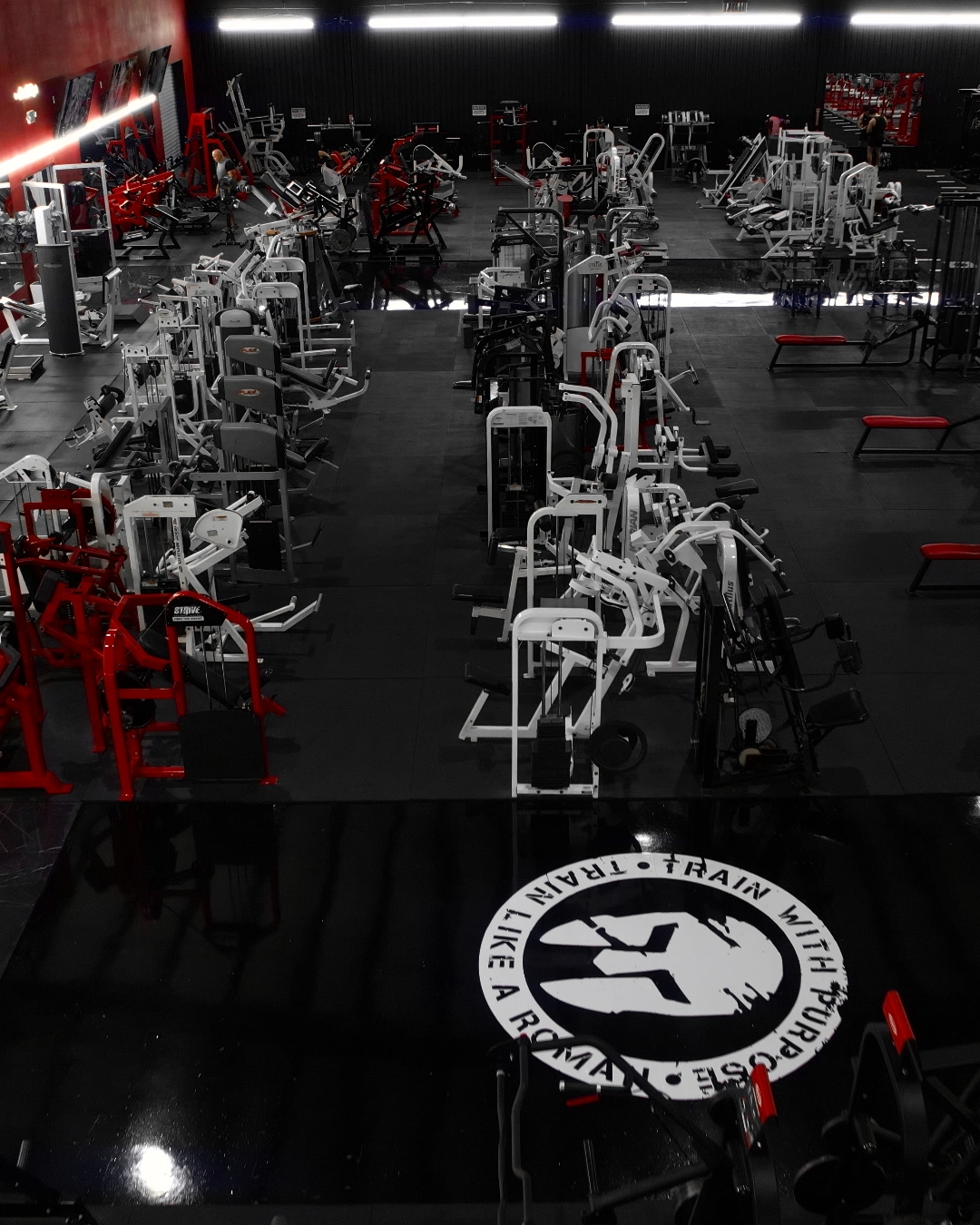 Spacious 27,000 sq ft Roman Empire Gym floor